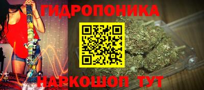 прущие грибы Будённовск