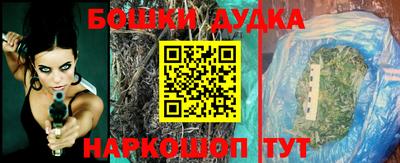прущие грибы Будённовск