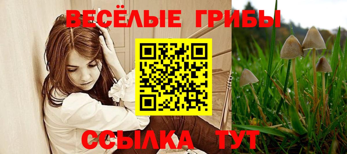Щёкино  Галлюциногенные грибы мицелий  Вход с VPN  Галлюциногенные грибы мицелий 